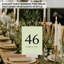 Koyal Wholesale Pistachio Table de mariage numéros 41 à 60, cartes de sièges 4 x 6-123541698