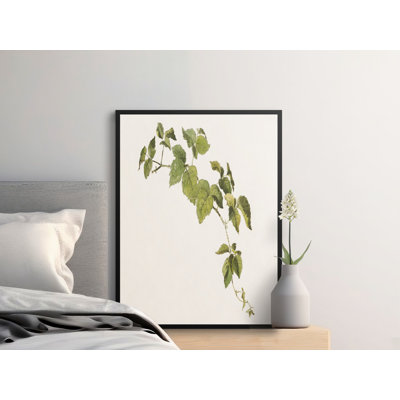Verena Print