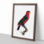 A Black-Capped Lory by F. Levaillant - Framed Print-55457502-55457511