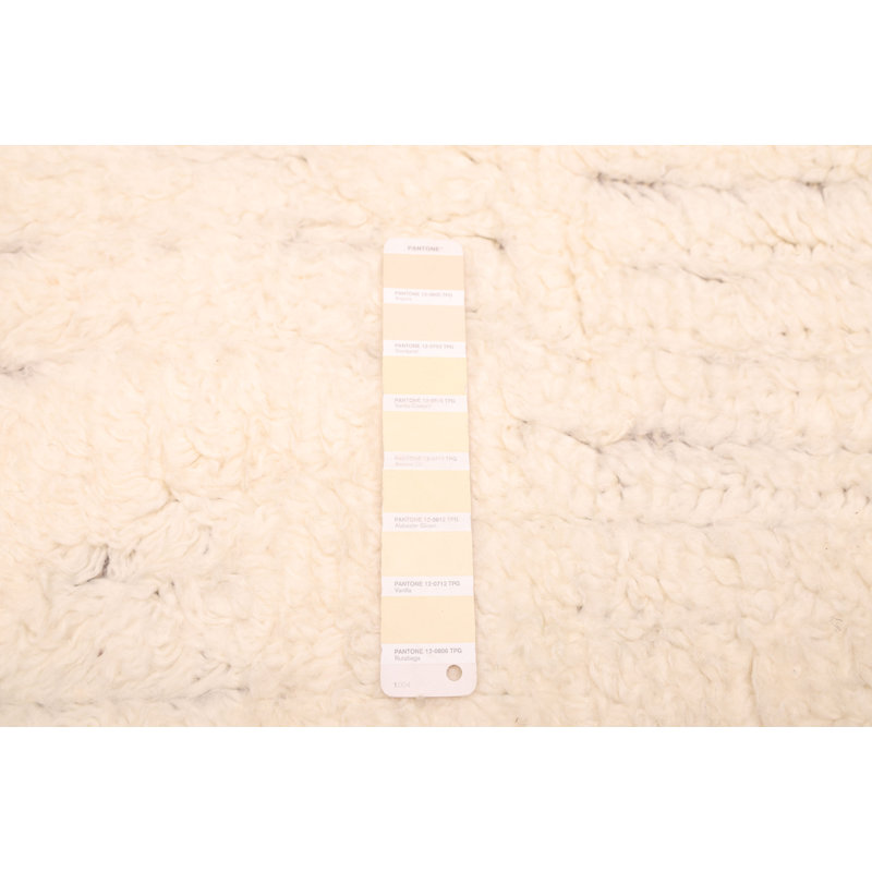 Tapis crème Tangier 4 pi 11 po x 8 pi 0 po