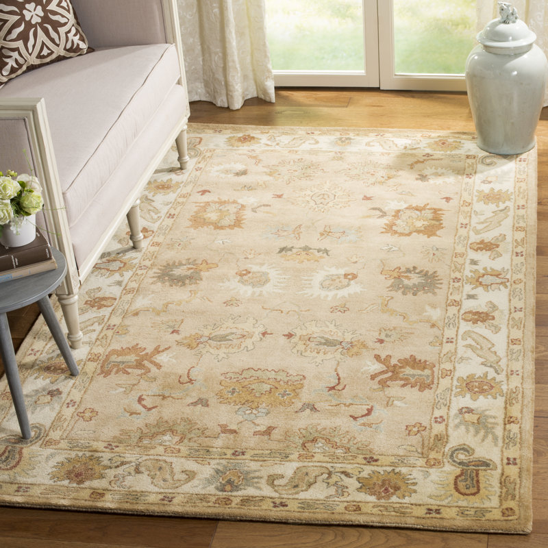 Tapis oriental en laine touffeté à la main Bulwinder, Rectangle 4 pi x 6 pi