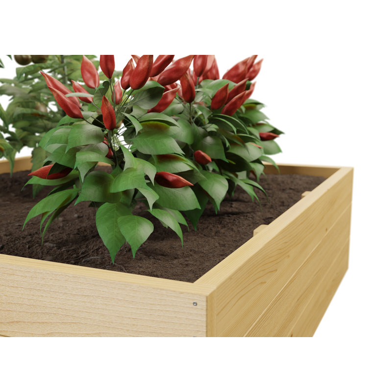 Handmade Wood Raised Garden Bed