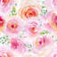 Rouleau de papier peint Ortez Roses-486244927