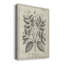 Toile tendue avec châssis de qualité botanique antique noire et blanche - prêt à accrocher-155867557