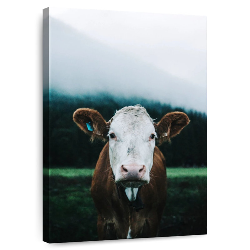 Brampt Austrian Dairy Cow, 48" H x 32" W