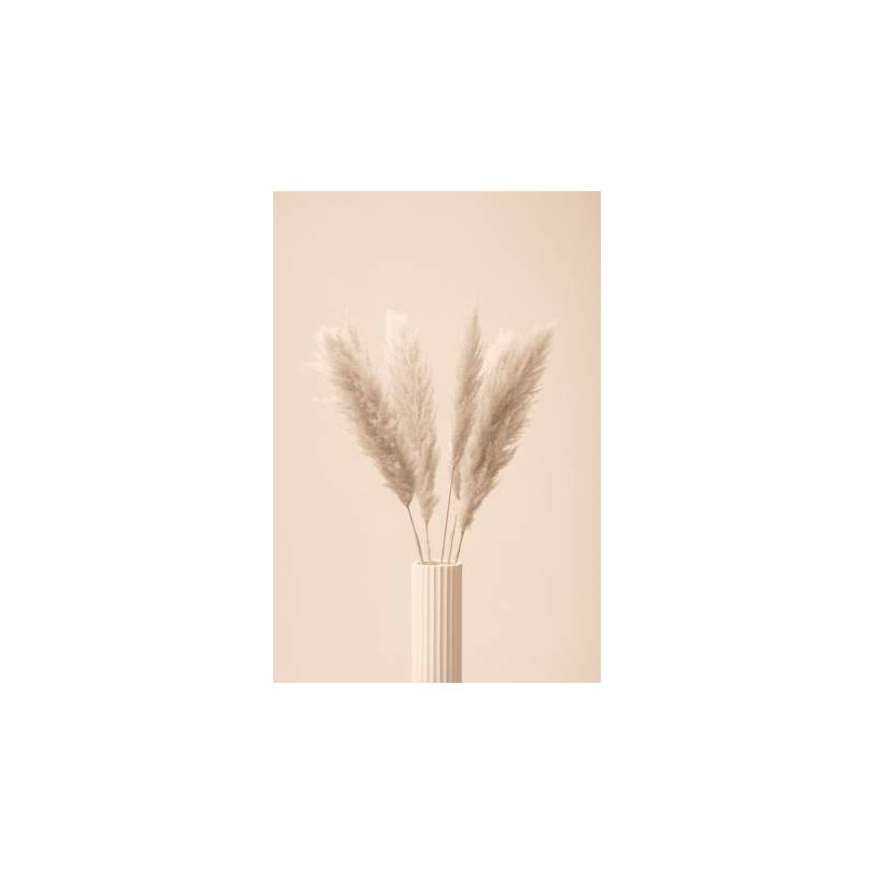 Wrapped Canvas Print, 50.8cm H x 76.2cm W