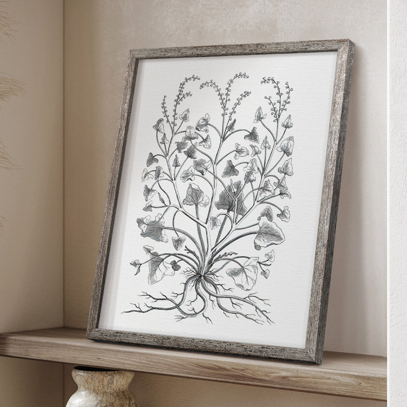 «B&W Plant Speciment», reproduction encadrée - bois massif, H 21 po x l 17 po