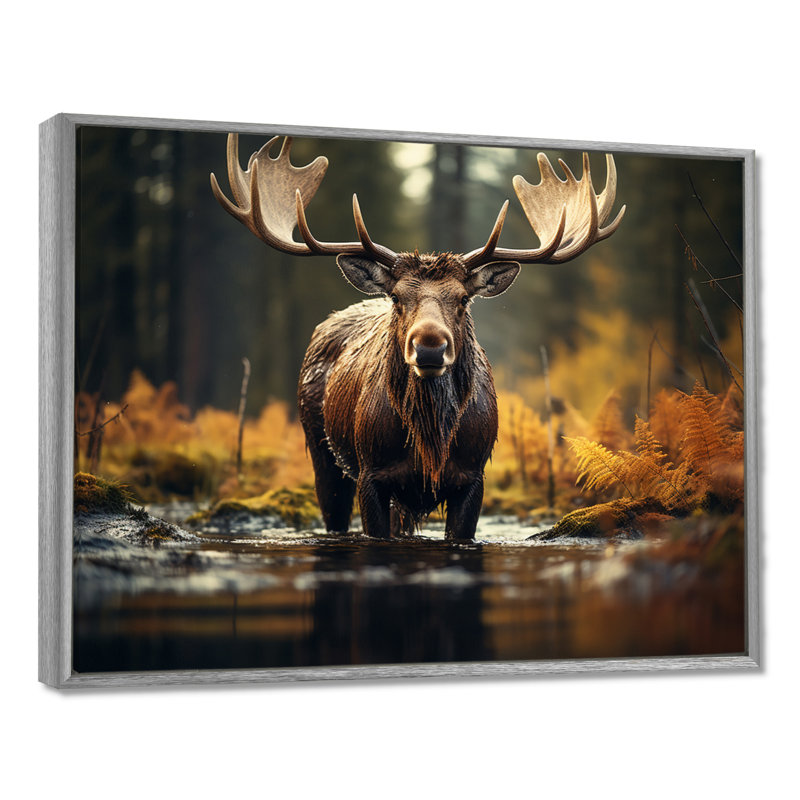 «Canada Majestic Moose III», art mural Canada large, H 16 po x l 32 po x P 1 po, Encadrement argenté