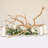  Natural California Driftwood Branch, 36-Inch