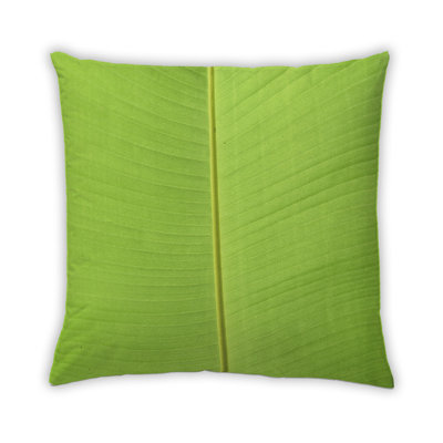 Coussin décoratif Color Focus Green 61