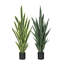 Plante de serpent artificielle Sansevieria en pot-2050088151