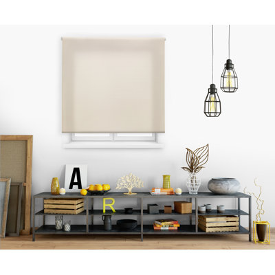 Semi Sheer Roller shade