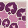 Miu Hand Tufted Wool Floral Rug
