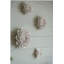 Décoration murale en céramique crème faite à la main D7,3 x 2,8 po