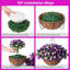 Arrangement en panier-1053561202