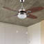Fundy 111cm Ceiling Fan with Light Kit
