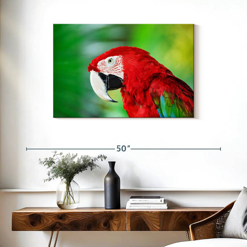 Brampt Jungle Scarlet Macaw, 24" H x 36" W