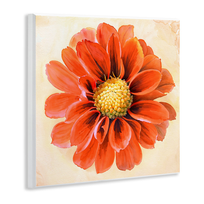 «Orange Dahlia Bloom» par Christine Zalewski