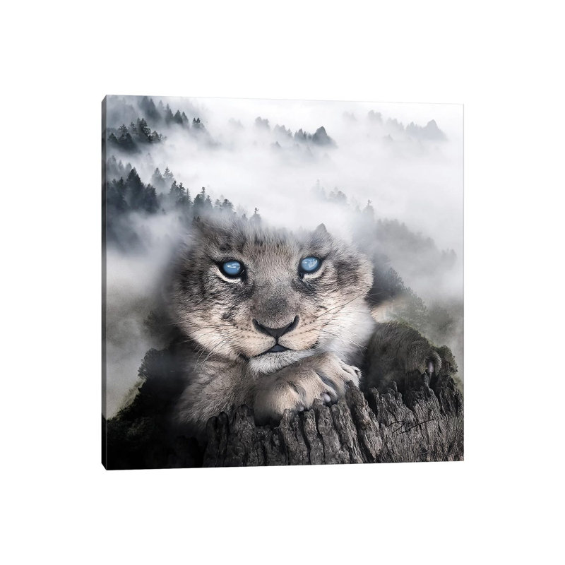 Cub by Paul Haag - Print on Canvas, 30.48 cm H x 30.48 cm W, Wrapped Canvas