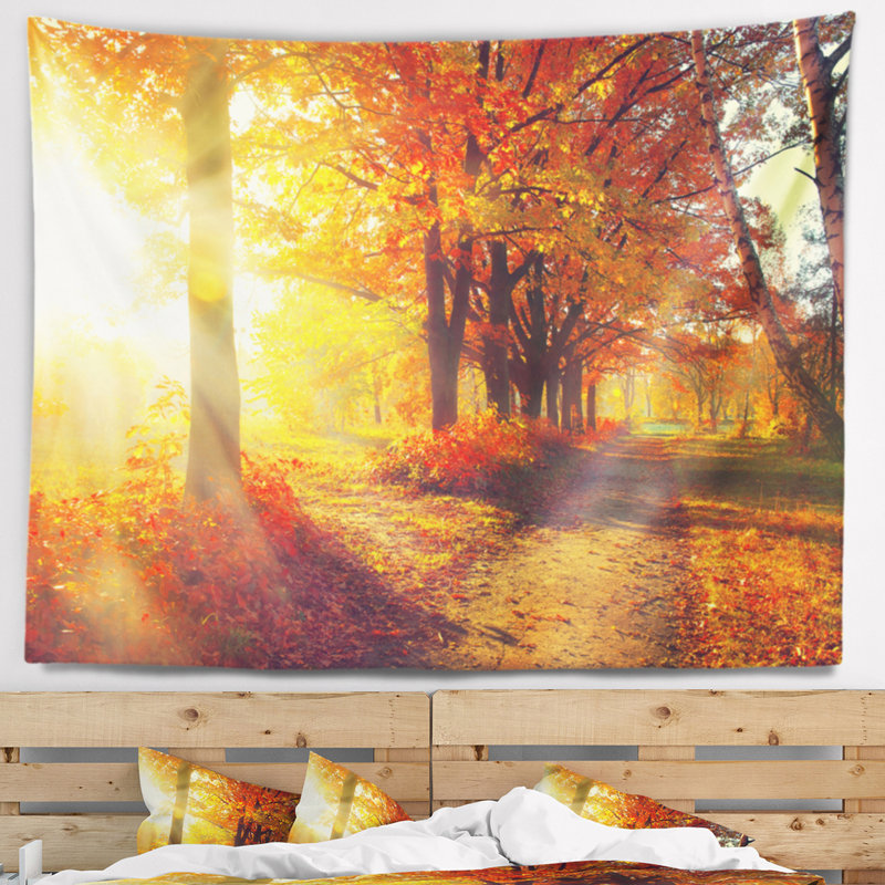 Tapisseries en polyester de rayons de rayons avec accessoires suspendus inclus, H 32 po x l 39 po