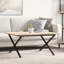 Chetna Coffee Table Legs X-Frame Steel-1428582305