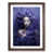 Walnut Framed