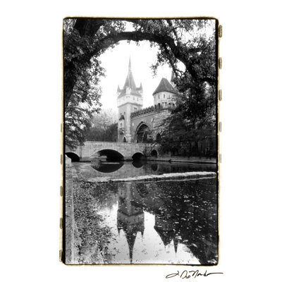 Réflexions du château Vajdahunyade