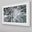 Karolis Janulis - Single Picture Frame Print-963233166