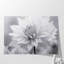 Douceur en monochrome 2, impression d'art mural-1057242748-1057242742