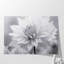 Douceur en monochrome 2, impression d'art mural-1057242750-1057242747