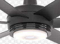LED Ceiling Fan Globe Light Kit, Black
