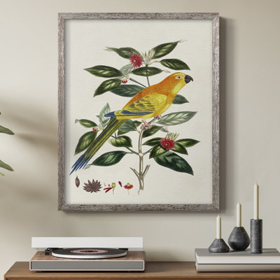 Bird in Habitat V, reproduction encadrée - bois massif