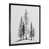Single Picture Framed is unavailable