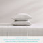 Ensemble de draps en coton percale Tommy Bahama-88500295-123703115