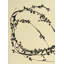 From The VIne A Print by Hable Construction-1847266726