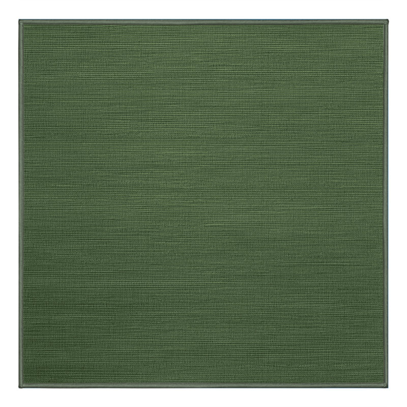 Machine Washable Solid Green Area Rug, Square 4'