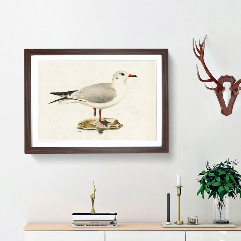 Black-Headed Gull by Von Wright - Picture Frame Art Print, 36cm H x 48cm W x 2cm D, Walnut Framed