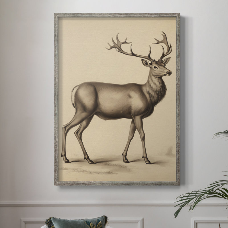 «Vintage Animal Print», reproduction encadrée en bois massif, H 15 po x l 12 po