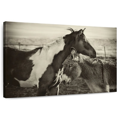 Kissing Horses I