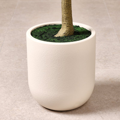 Ashwell Faux Olive Tree