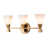 Lacquered Gold selected
