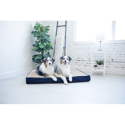 Lit orthopédique pour chien Petmate Bentley