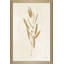 Botanical Study I Gold Crop - Peinture-195985680-195985774