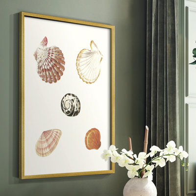 Pastel Knorr Shells, reproduction d'art encadrée en bois massif