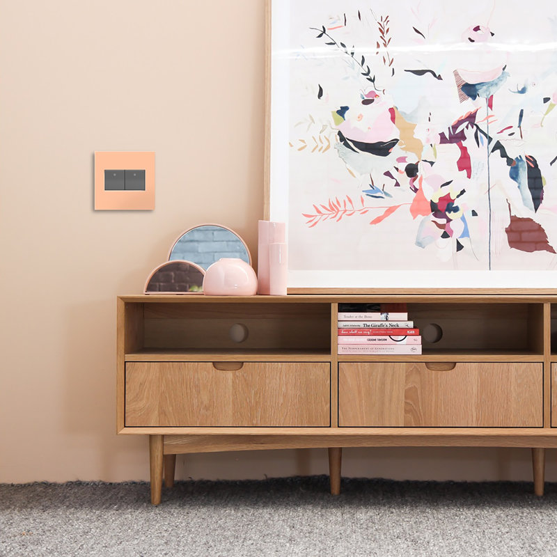Peachy Matte 2-Gang Plastic Screwless Wall Plate