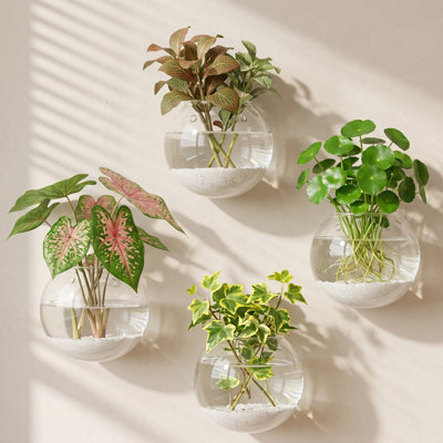 Four Clear Glass Wall Vases for Mounting, Hanging Planter Terrarium for Propagating Hydroponic Plants, Ideal for Home Office Living Room