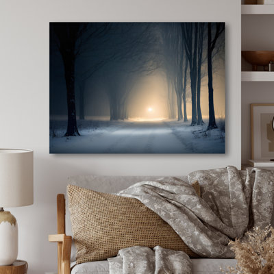 " Wintercalm During Forest Winter Time V "