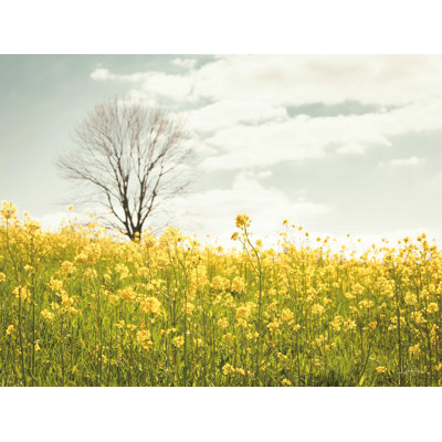 Yellow Meadow - reproduction sur toile tendue