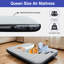 Elleny 9cm Air Bed Double (No Pump)