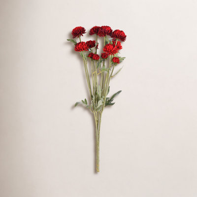 Daisy Floral Stems
